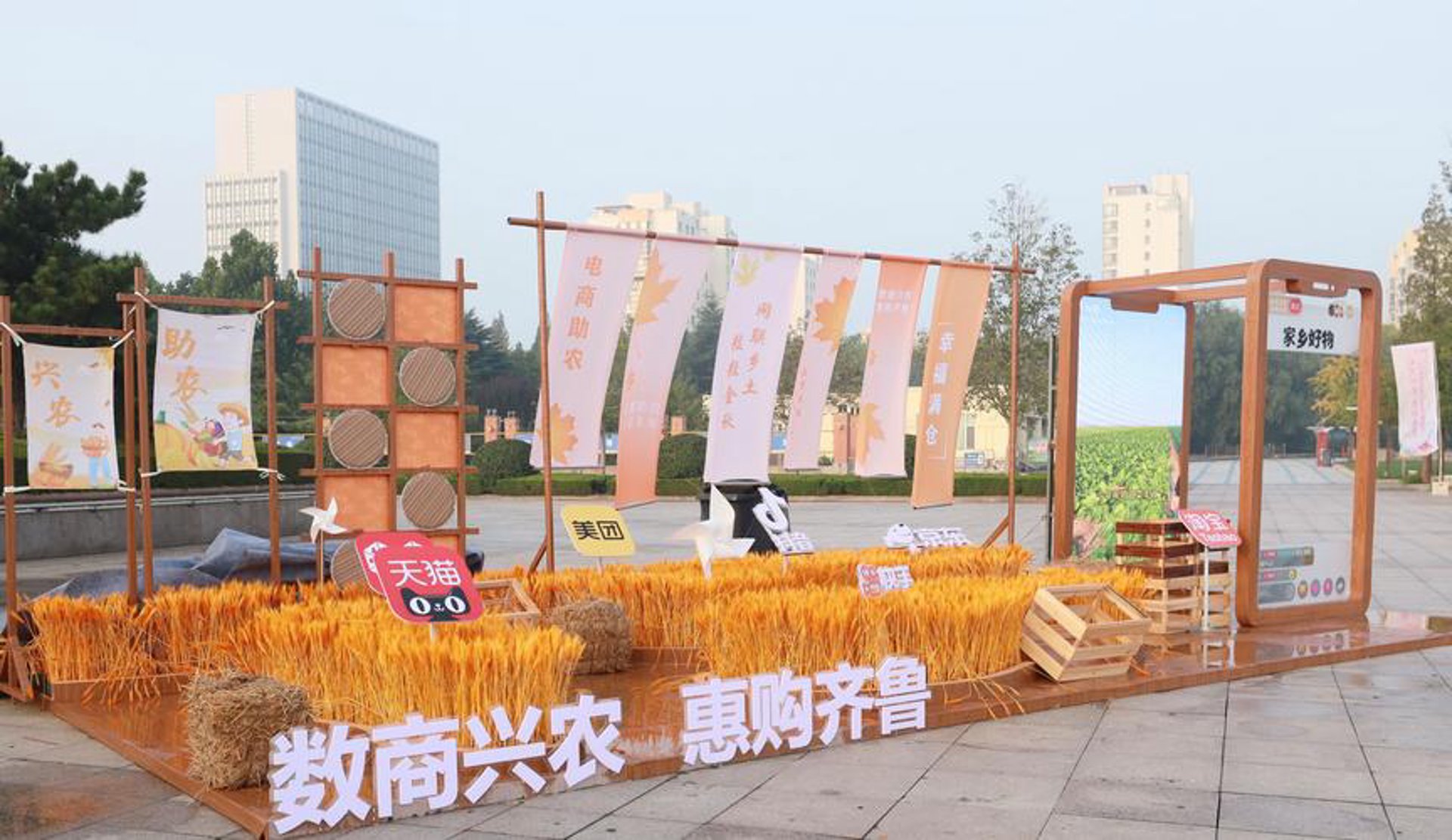 大惠购电商